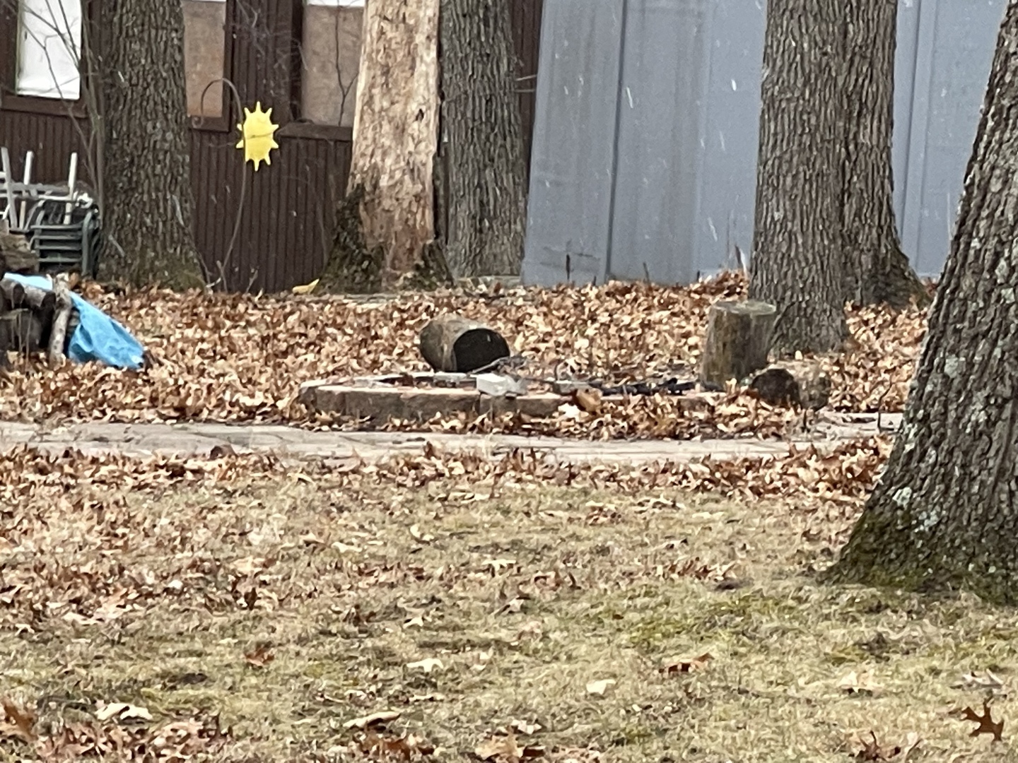 7205 Woodhaven Lakes Sublette, Illinois Lori Erbes